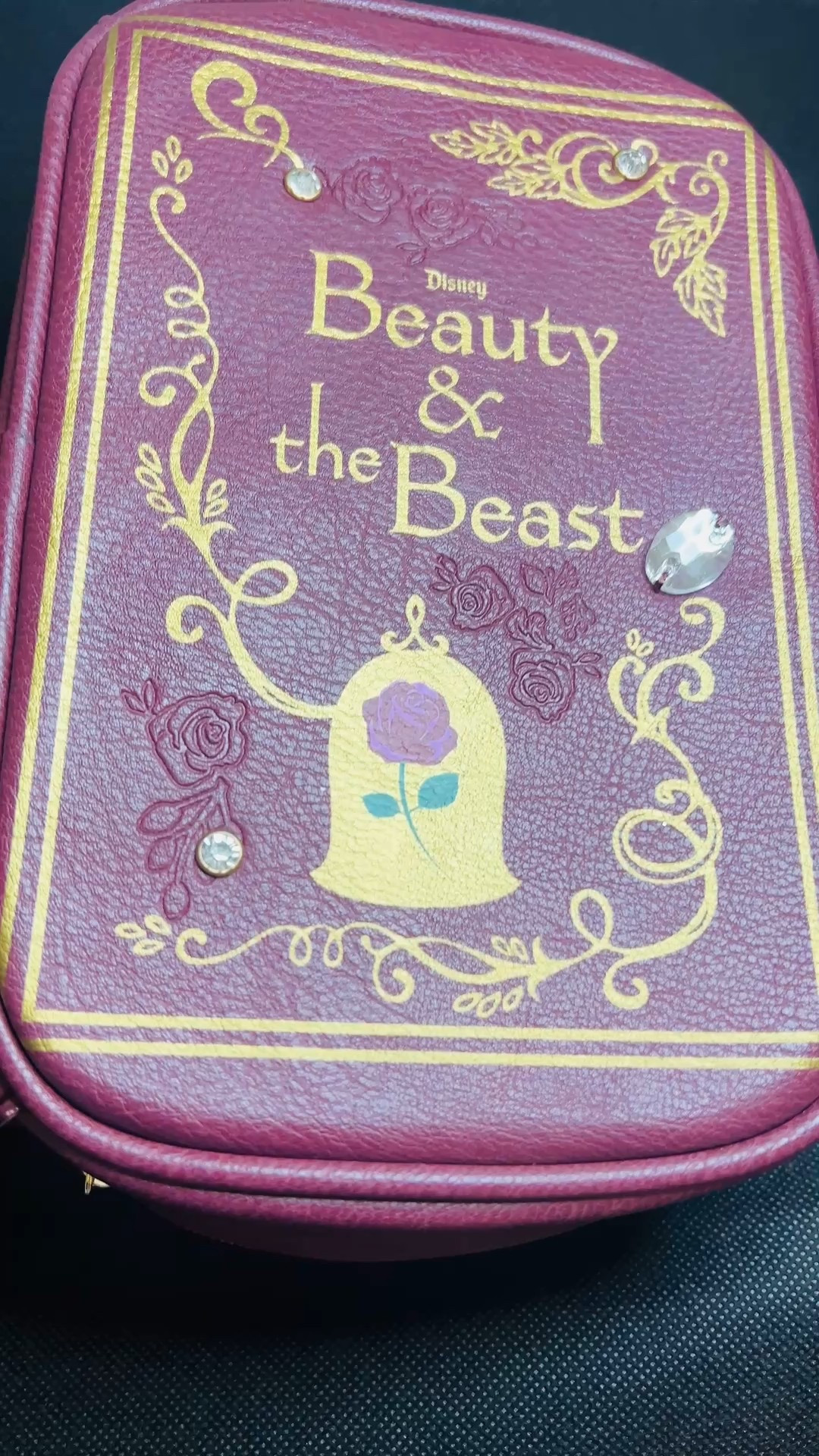 Here’s one of my favorite collectible items. Beauty and the Beast Cosmetic Bag
It’s very spacious and a great option for a small travel bag to carry beauty essentials. 

#LTKvlog #LTKBeauty