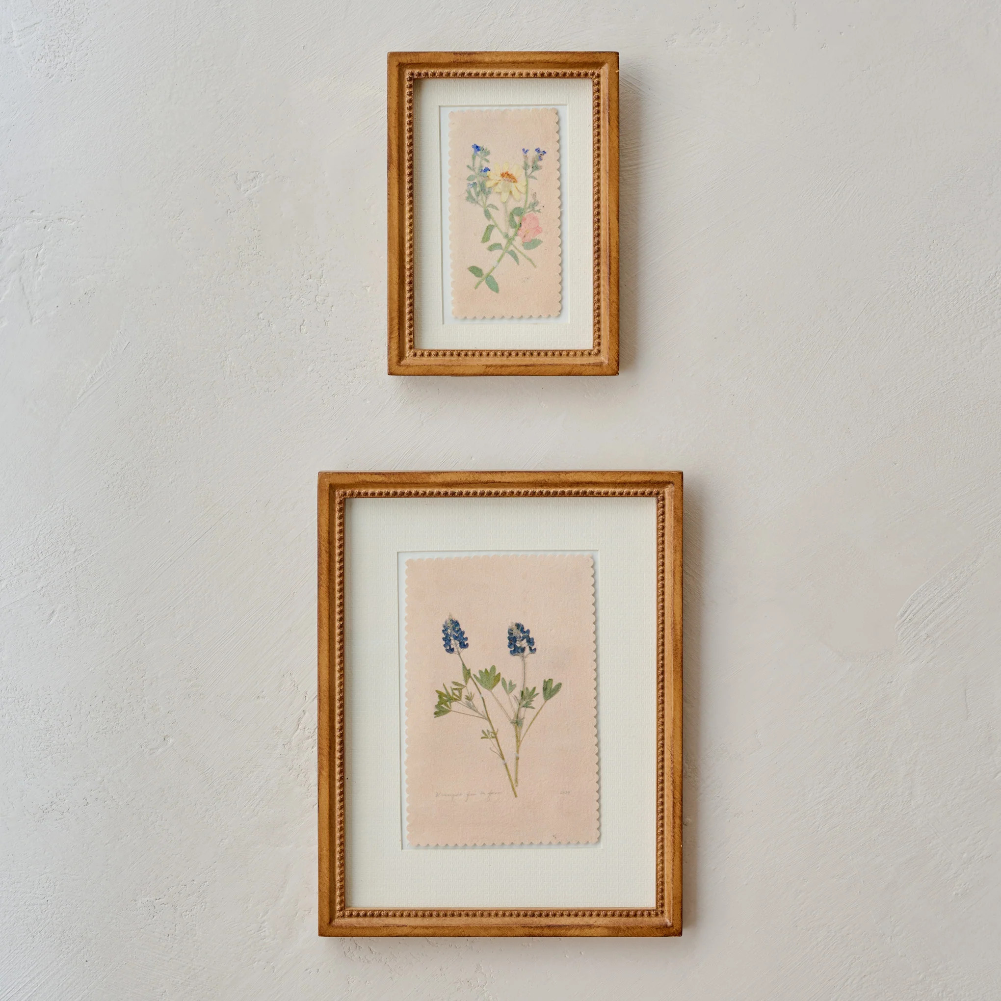 "Collected Spring" Jo's Framed Herbarium Print | Magnolia