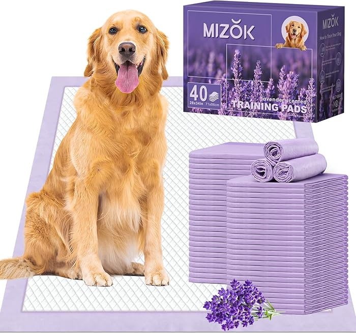 MIZOK Puppy Pads 28x34in Lavender Scented, Dog Pee Pads Extra Large Odor Eliminating Ultra Absorb... | Amazon (US)