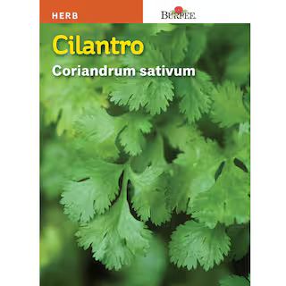 Cilantro Seed | The Home Depot