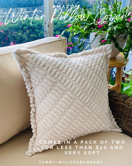 Winter pillow covers in a pack of two fir less than $20

#LTKfindsunder50 #LTKstyletip