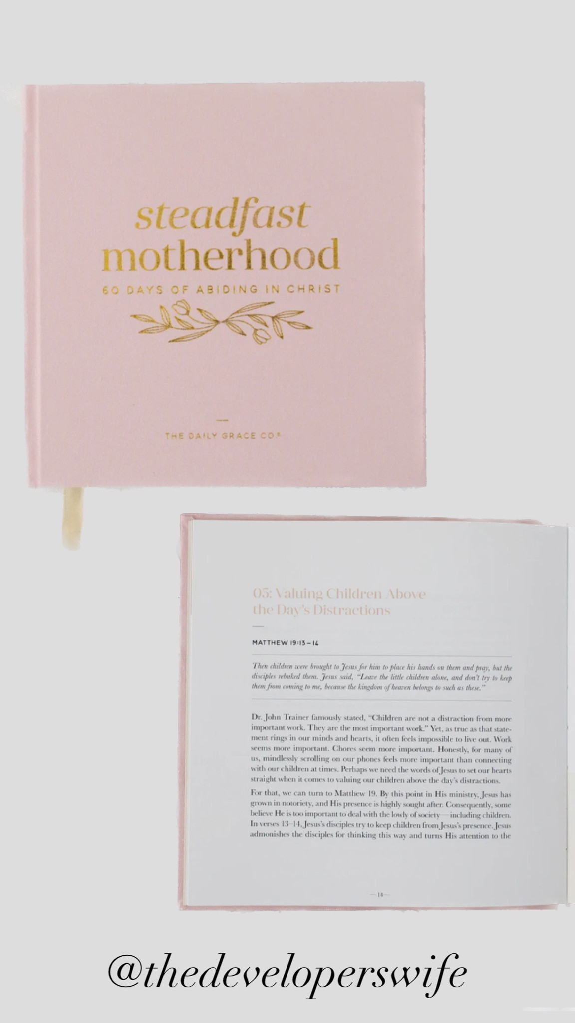 Daily Devotional for Motherhood $15

#LTKbump #LTKGiftGuide