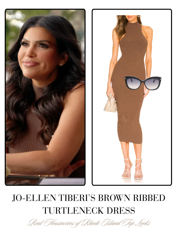 Jo-Ellen Tiberi's Brown Ribbed Turtleneck Dress 

 