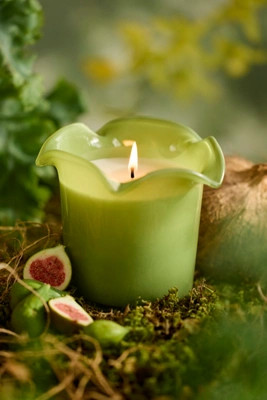 Botaniculture Greenhouse Candle | Anthropologie (US)