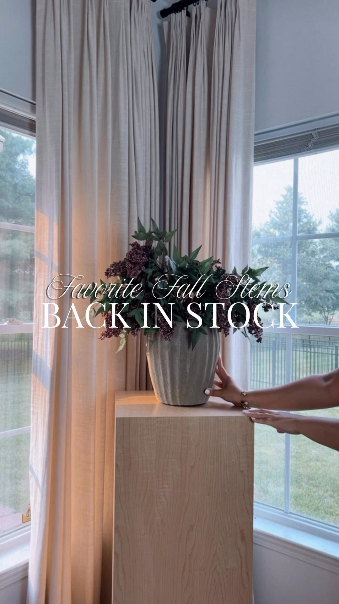 These plum berry stems are BACK IN STOCK perfect for Fall season. 
#amazonhome #fallstems #fallflorals #backinstock #homedecor

#LTKSeasonal #LTKHome #LTKU