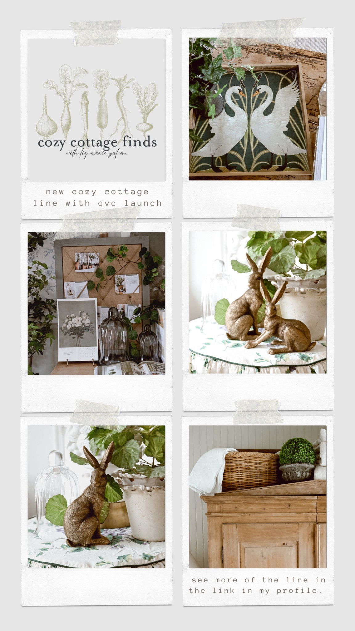 Cozy cottage launch with qvc today! Grab these cozy items while you can 🐇🫶🏼

#LTKhome #LTKGiftGuide #LTKfindsunder50