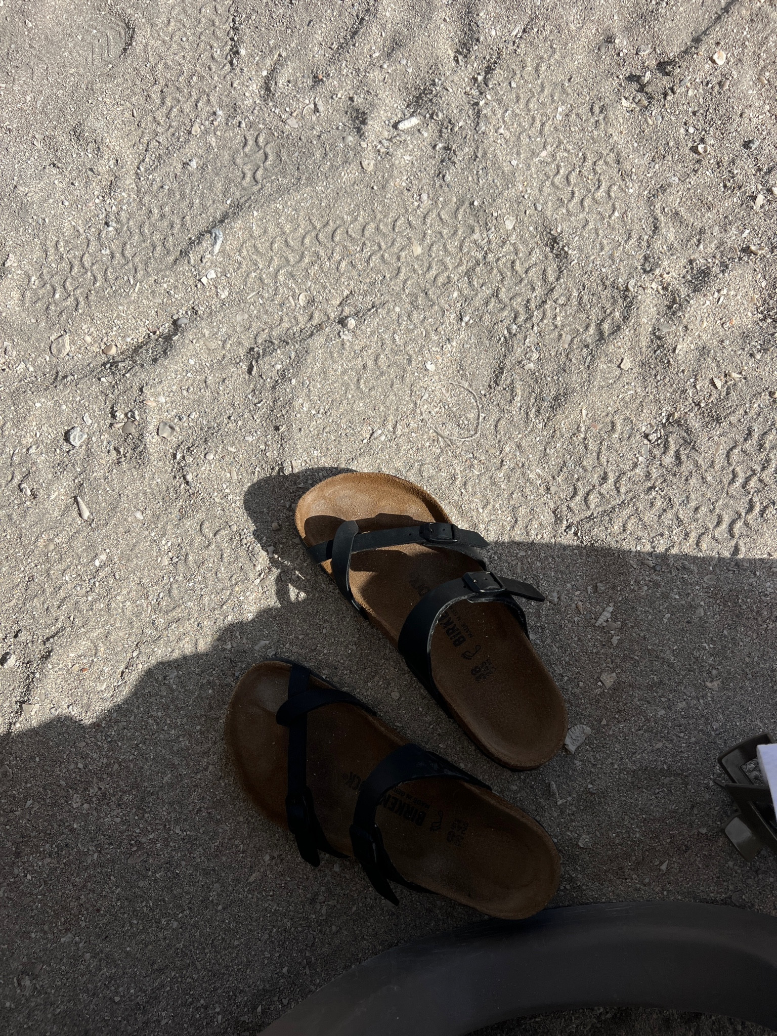 Birkenstock Arizona sandals 

#LTKstyletip #LTKshoecrush #LTKtravel