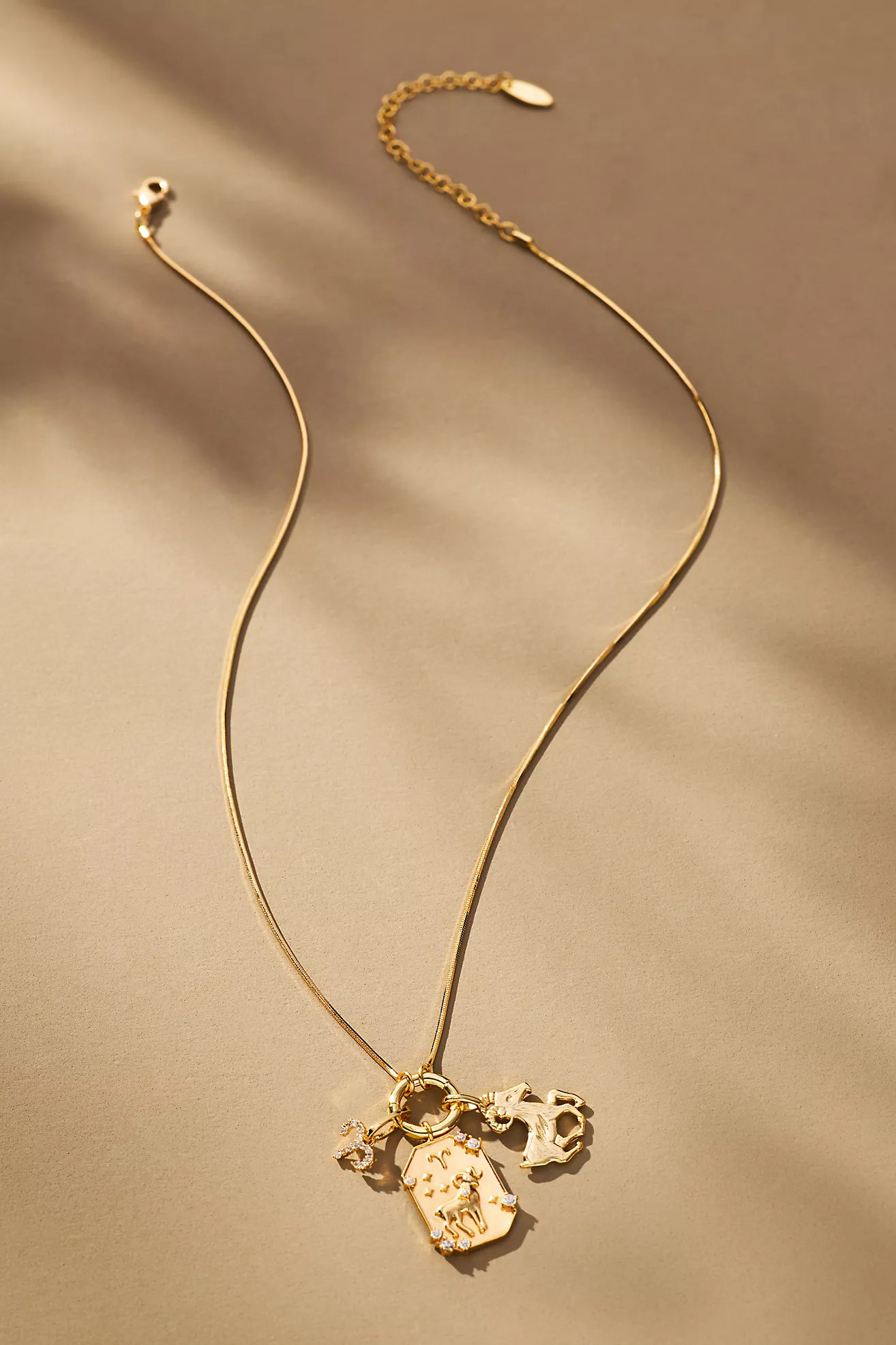 Zodiac Charm Necklace | Anthropologie (US)