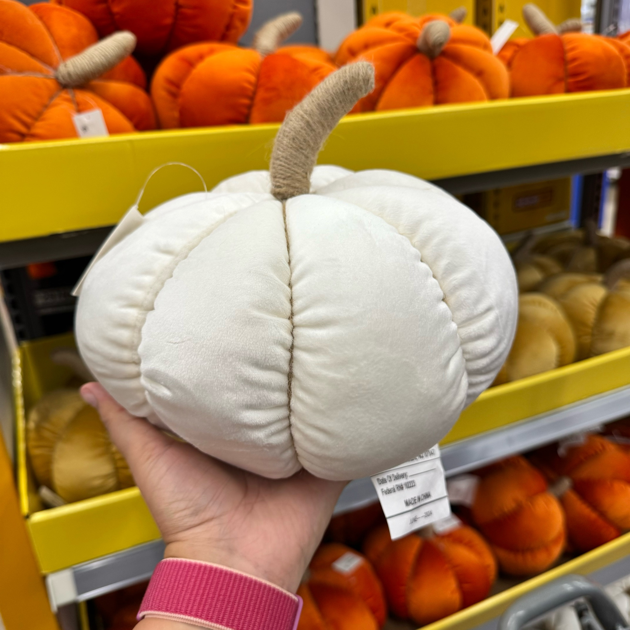 These stuffed velvet pumpkins at Walmart are so good!

#LTKSeasonal #LTKHome #LTKFallSale