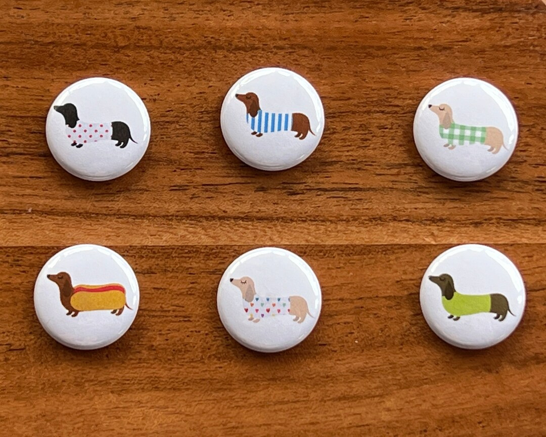 Dachshund Fridge Magnet Set of 6, Wiener Dog Lover Gift, Doxie Kitchen Decor, Sausage Dog Lover M... | Etsy (US)