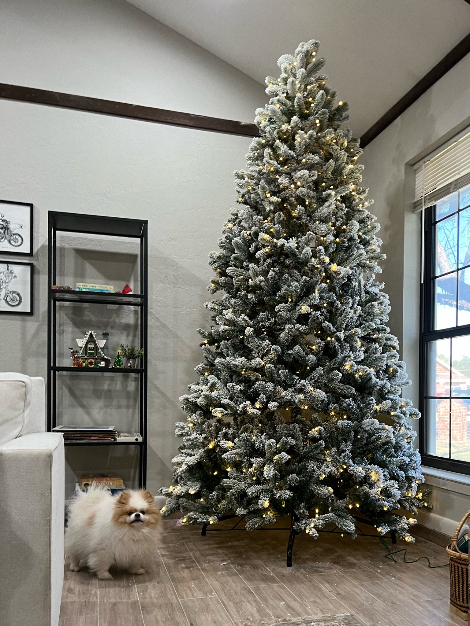 My STUNNING artificial Christmas tree! It’s my first ever grown up Christmas tree and I’m obsessed. The quality of the tree and ease put together was a dream! 9 feet of flocked falalalala! 

#LTKHoliday #LTKCyberweek #LTKSeasonal