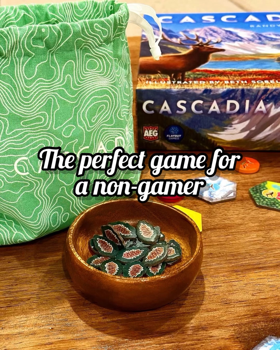 The perfect game for a non gamer or family game night.

#LTKSaleAlert #LTKGiftGuide #LTKFamily