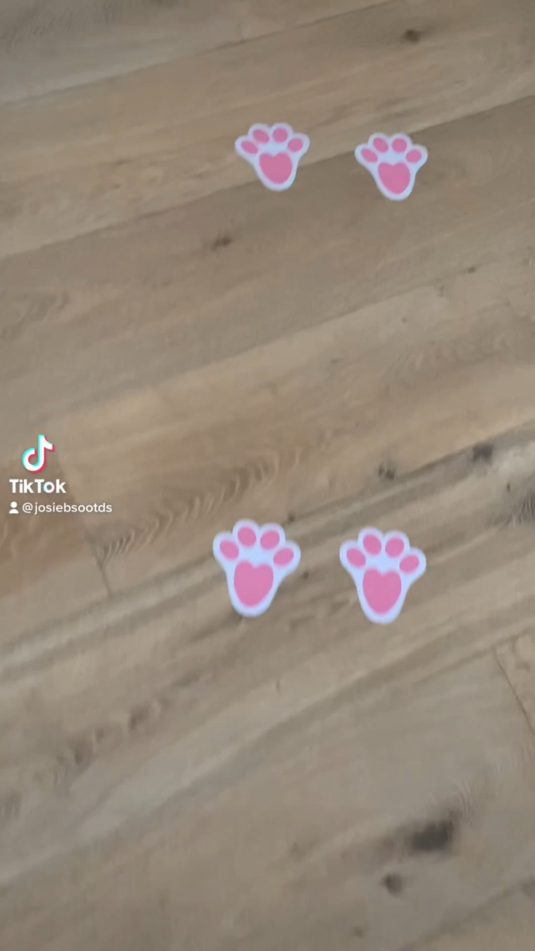 Easter morning bunny stickers 💕🐰

#LTKFamily #LTKSeasonal #LTKKids