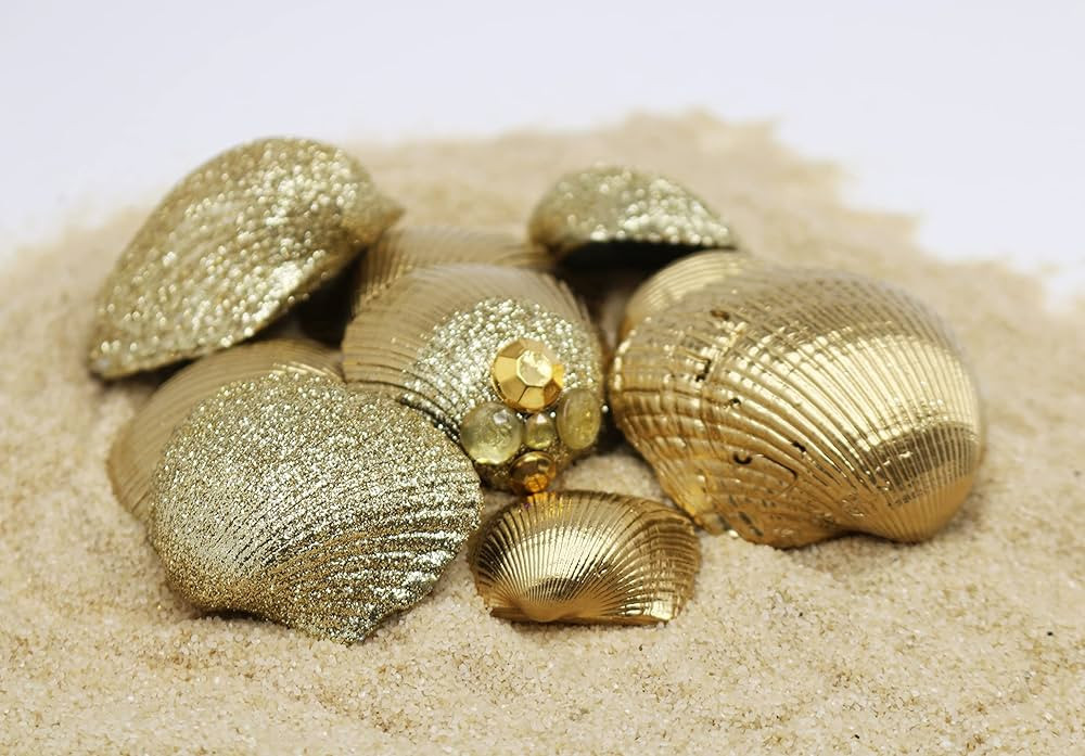 Seashell Decor | Set of 10 (Sunny Gold Set) | Amazon (US)