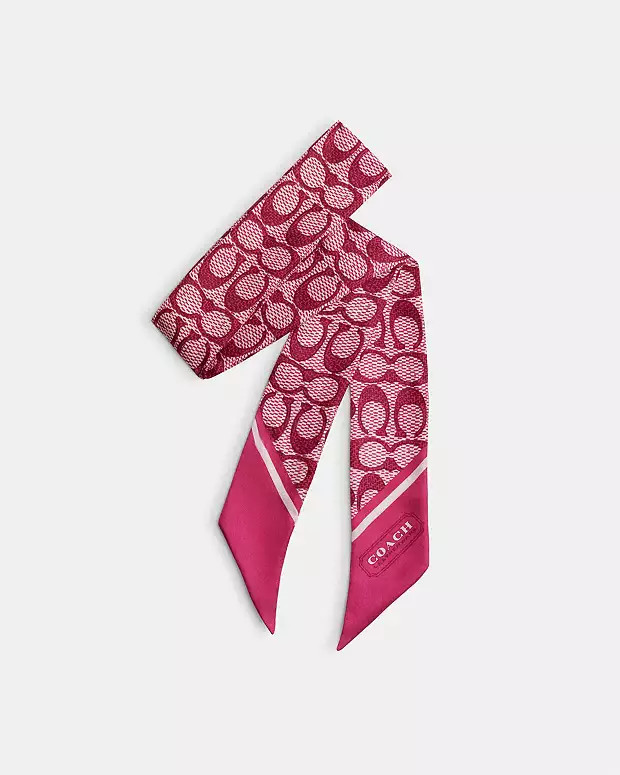 Vintage Signature Print Silk Skinny Scarf | Coach (US)