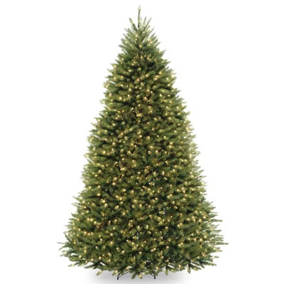 9ft. Dunhill Fir Tree with Clear Lights | Wayfair North America
