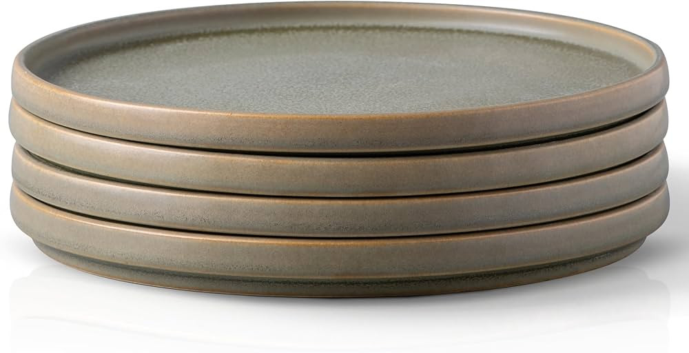 AmorArc Stoneware Dinner Plates Set of 4, 10.25 Inch Reactive Matte Glaze Ceramic Plates Set, Mod... | Amazon (US)