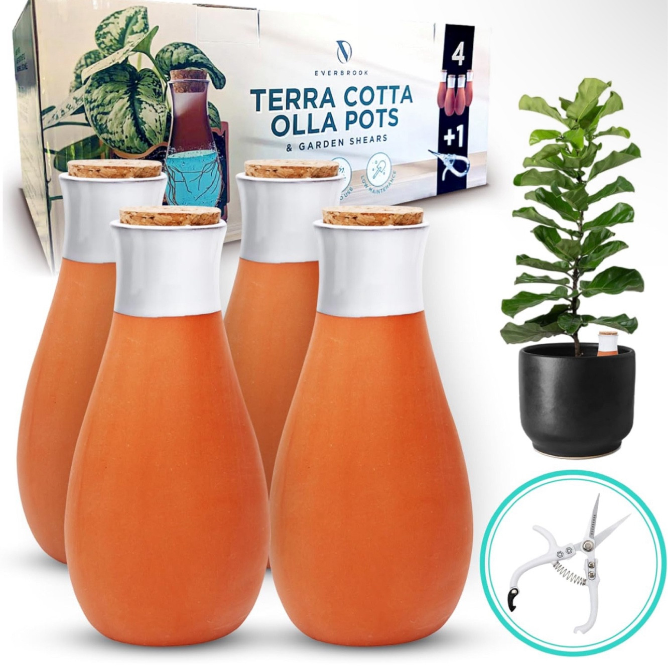 Terra Cotta Waterers