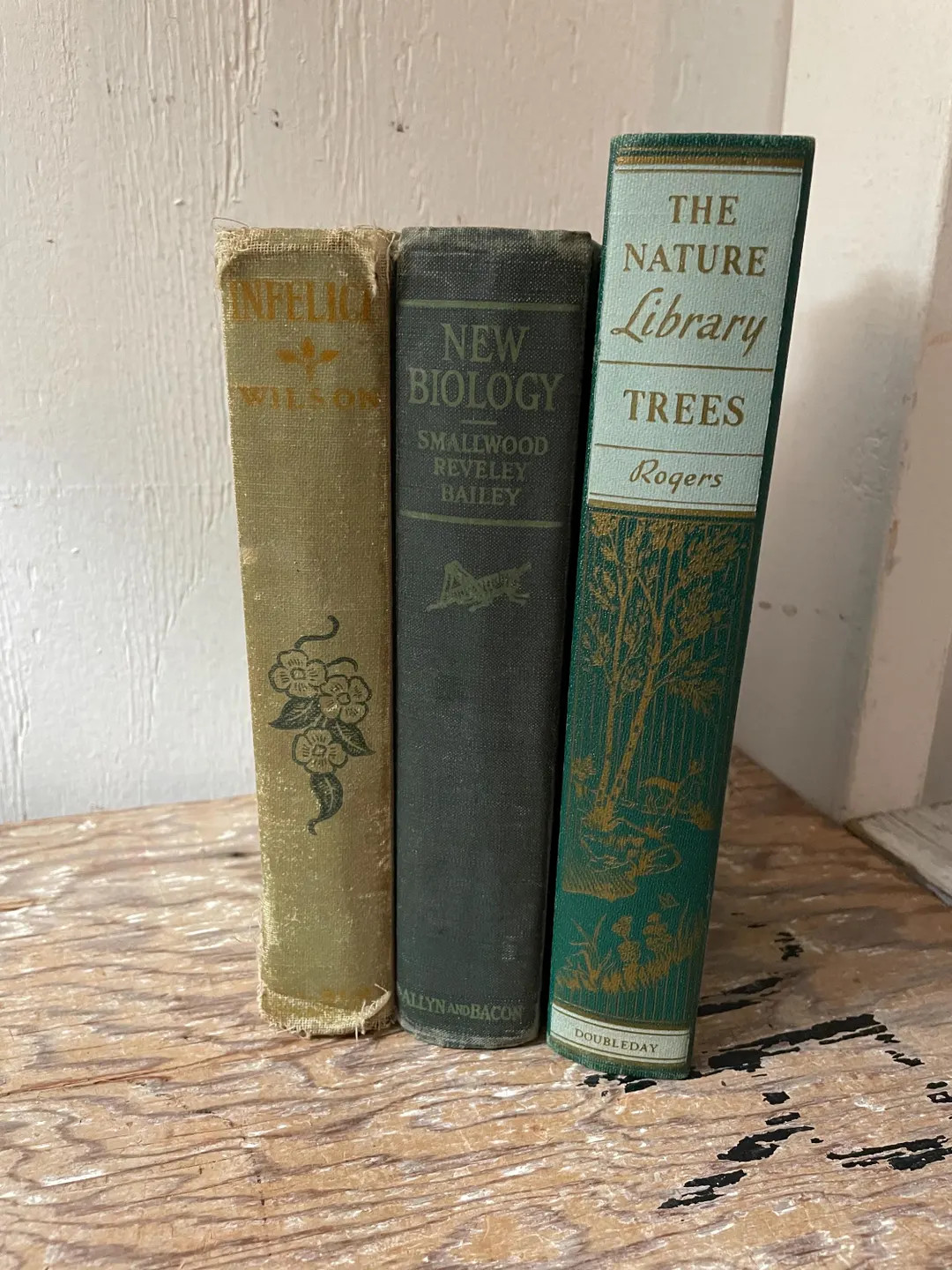 Set of 3 Vintage Books - Green Hardcovers - Trees - Colorful Illustrations - Etsy | Etsy (US)