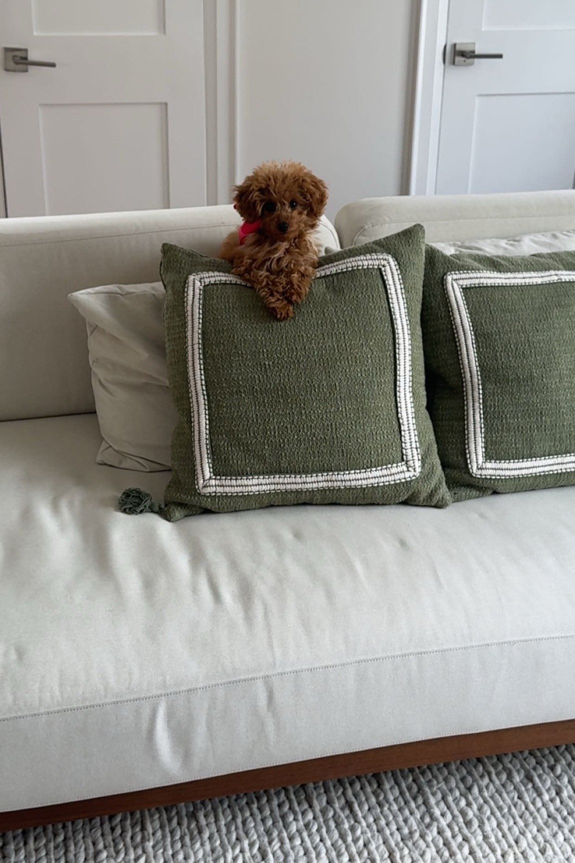 Green pillows 

#LTKHome #LTKSaleAlert