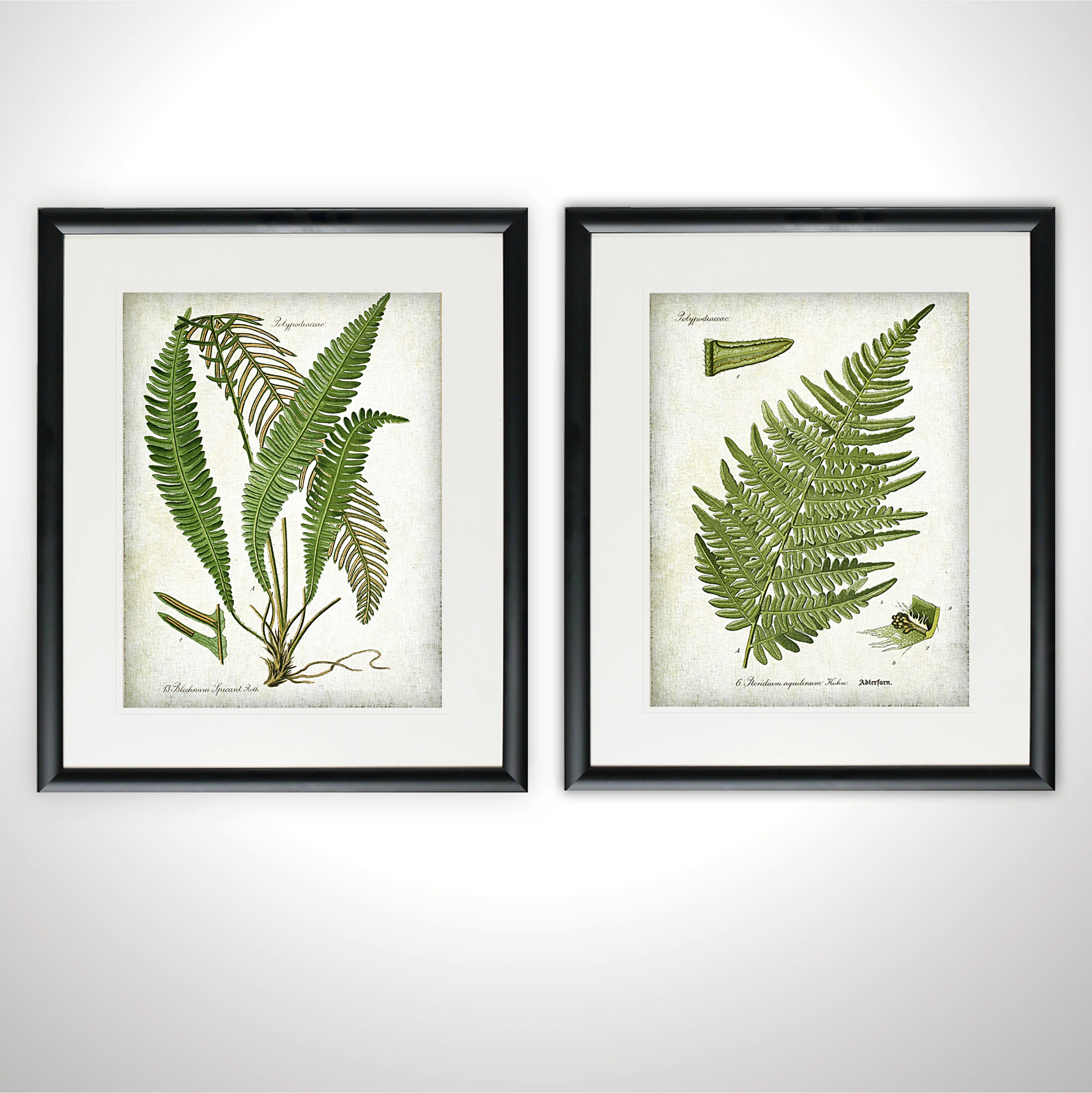 " Vintage Botanical Sketch VII " 2 - Pieces Painting Print | Wayfair North America