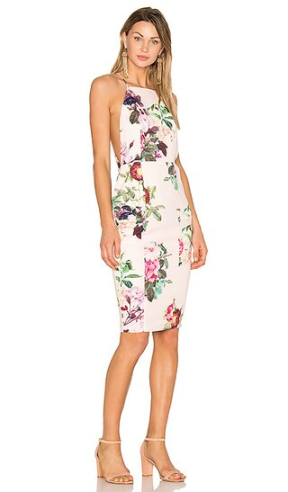 AIRLIE Isolla Bella Midi Dress in Print | Revolve Clothing