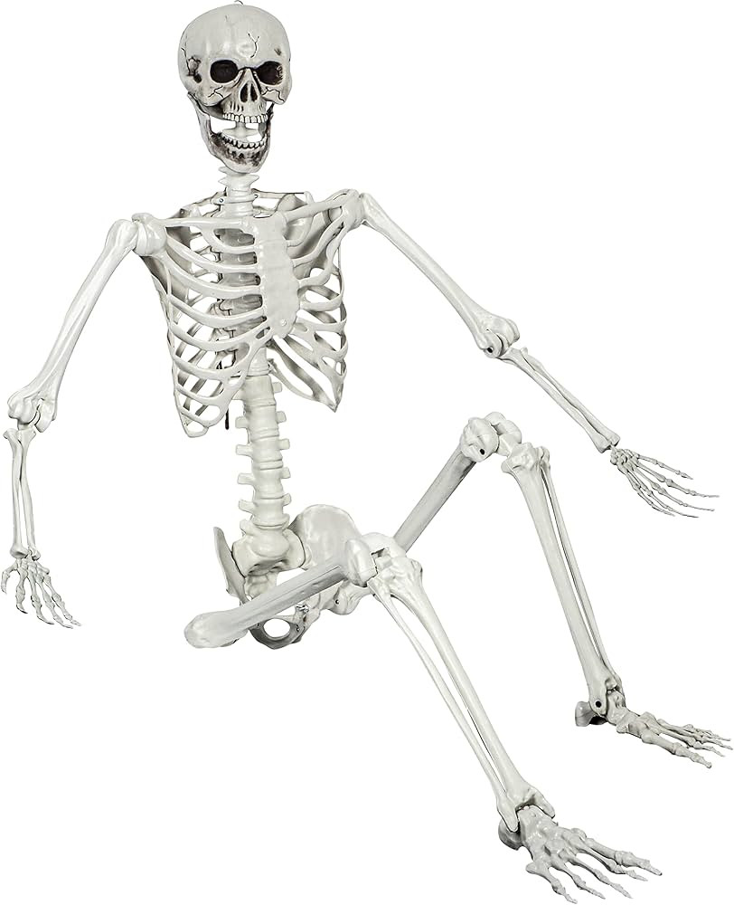 5.4ft Halloween Posable Skeleton Realistic Life Size Human Skeleton Bones with Movable Joints for... | Amazon (CA)