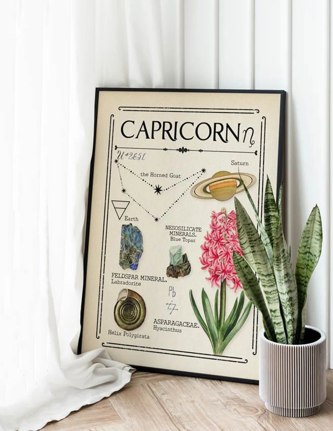 Capricorn Zodiac Print Gift for friend Neutral Decor Tarot Card Boho Decor Astrology Star Sign Ce... | Etsy (US)