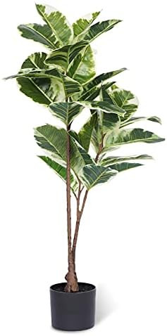 Artificial Rubber Tree-Faux Tropical Fake Plant - Floor Silk Ficus Elastica Plant - 3.5 Ft Tall A... | Amazon (US)