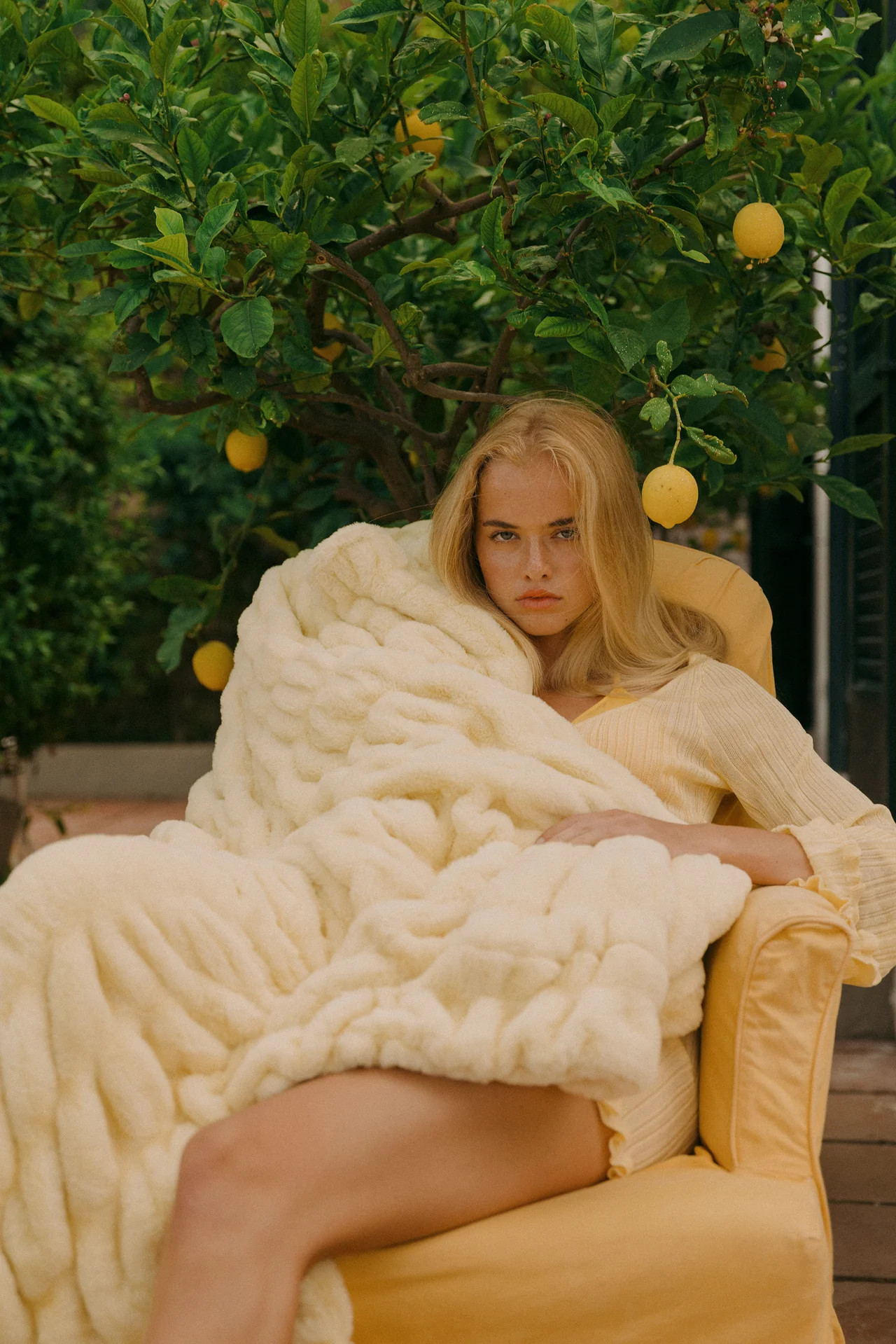 LEMON SORBET | Lola Blankets