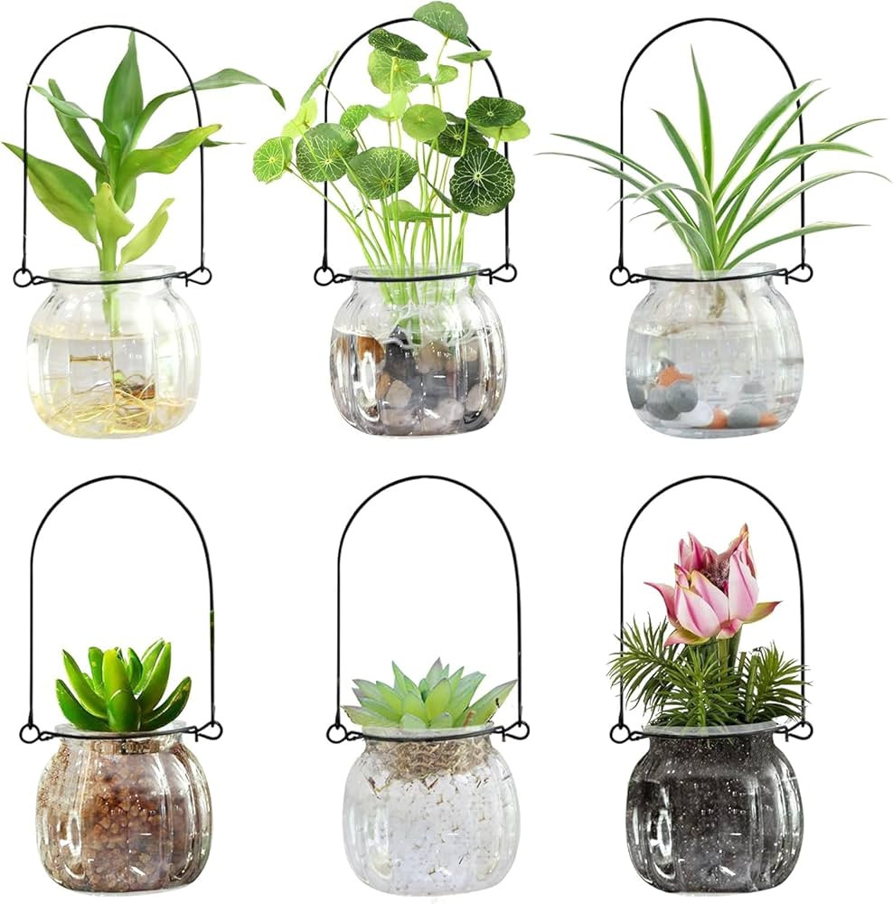 Terrarium Plants Glass Air Plant Hanging Terrarium Plants Glass Home Decor Vase Wall Hanging Glas... | Amazon (US)