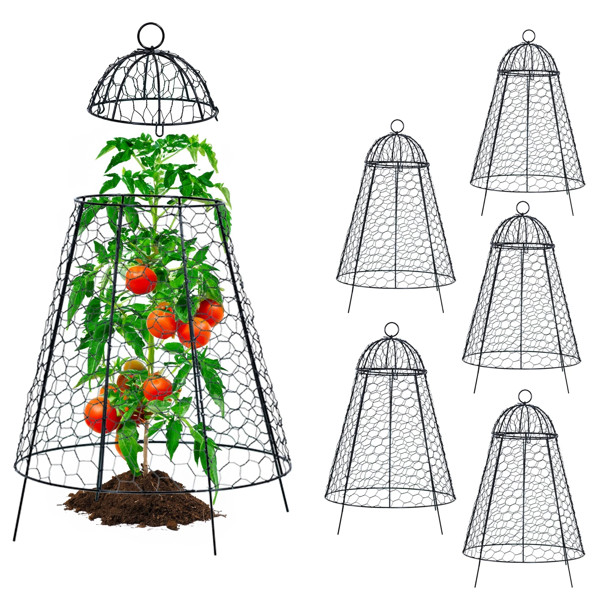 Life Finds Chicken Wire Garden Cloche Set,  Protective Plant Cover, Pack of 6 | Walmart (US)