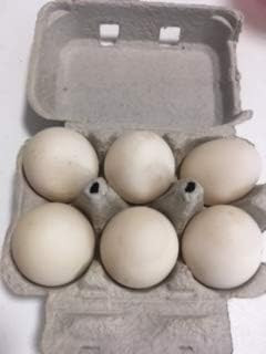 Fresh Duck Eggs(6) | Amazon (US)
