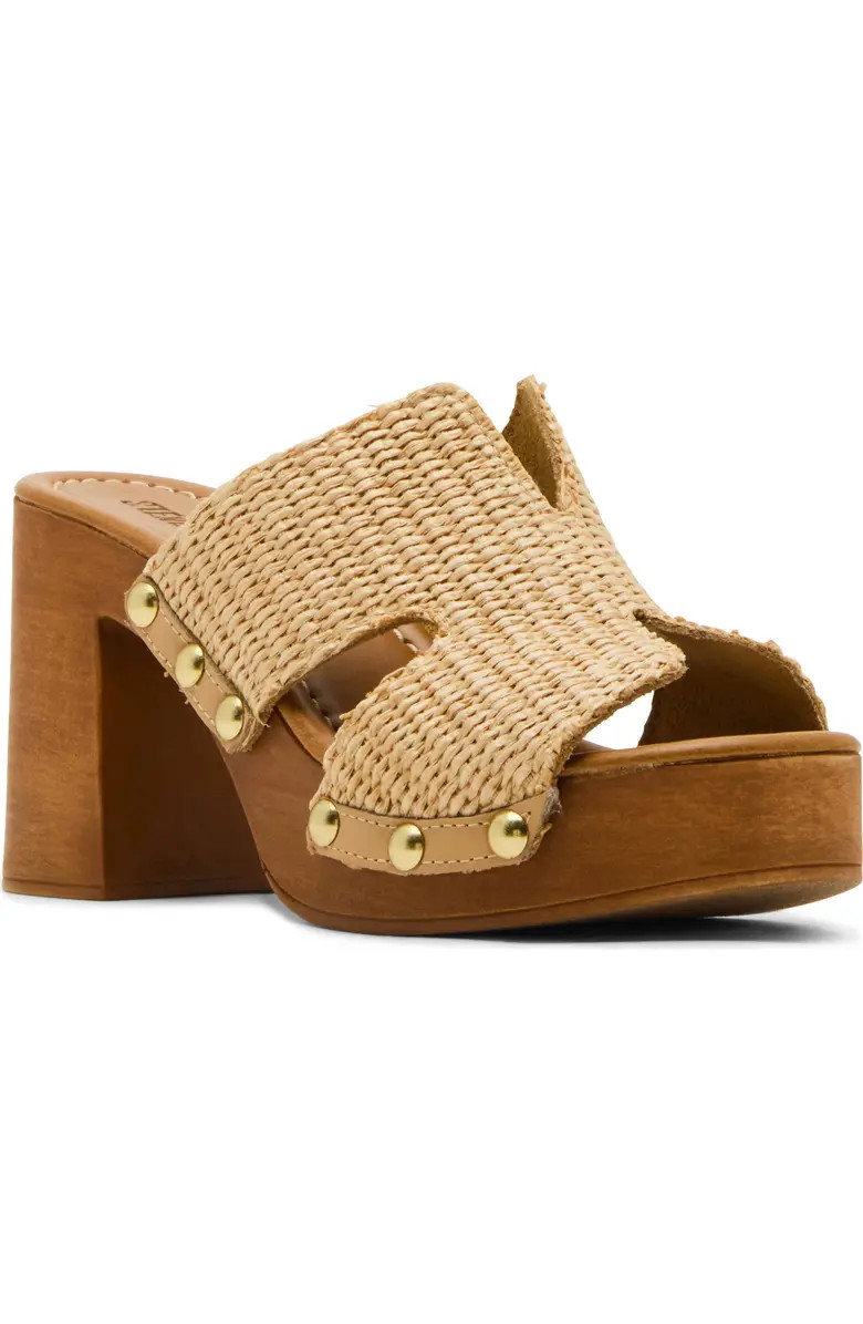 Steve Madden Sunkissed Clog (Women) | Nordstrom | Nordstrom