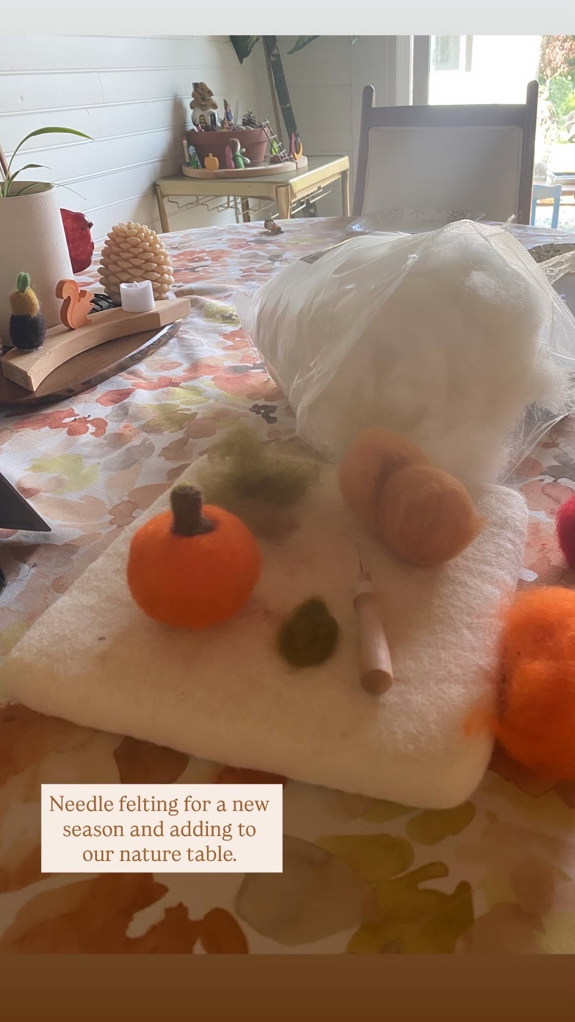 Fall decor needle felting 

#felt
#falldecor
#nature

#LTKcanada #LTKfamily #LTKkids