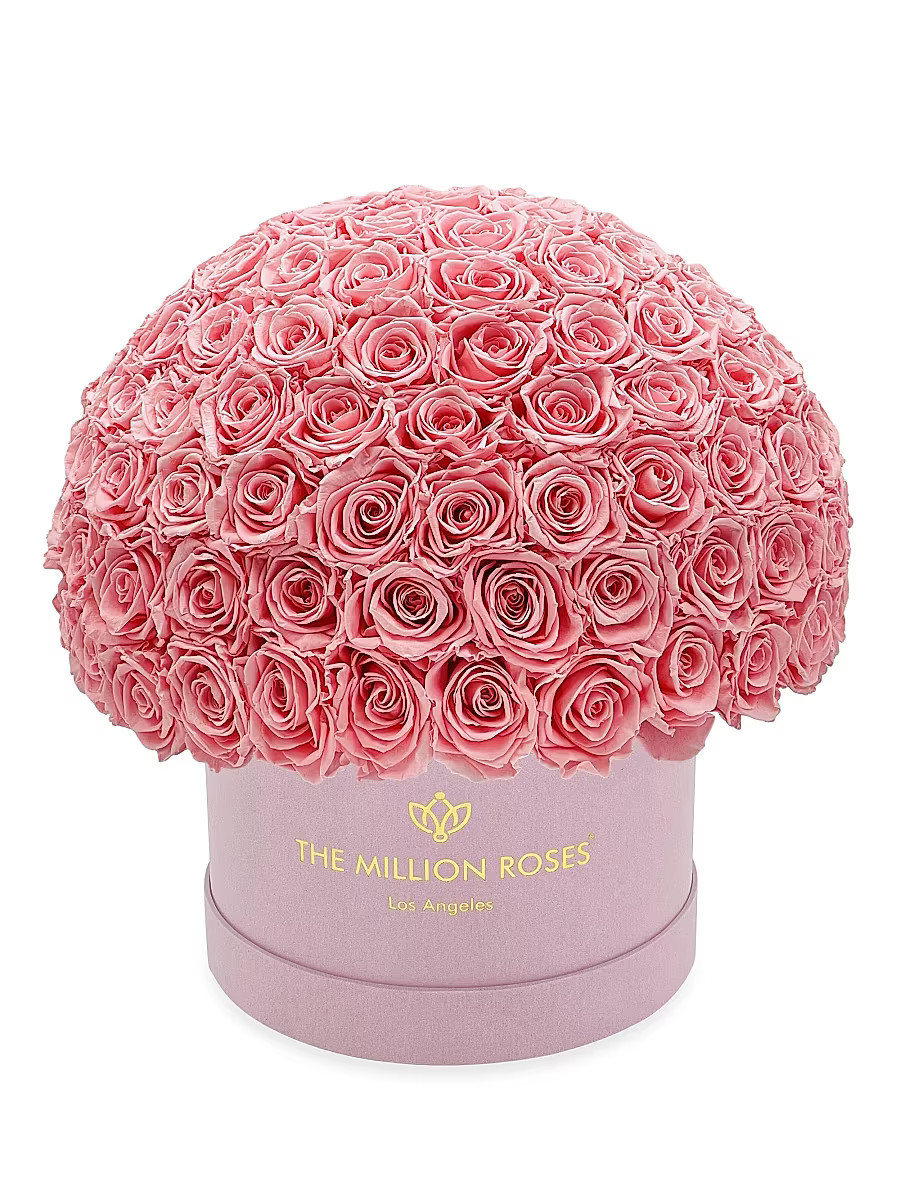 Supreme Bordeaux Suede Superdome Box - Light Pink | Saks Fifth Avenue