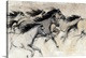 Horses in Motion I Wall Art | Great Big Canvas - Dynamic