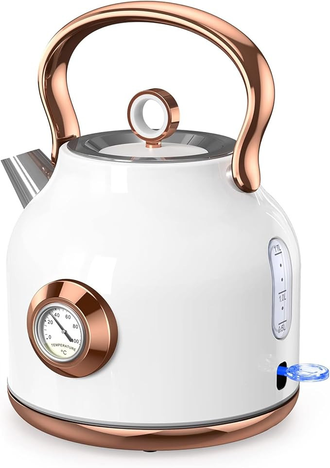 Retro Electric Kettle, 1.7L Stainless Steel Tea Kettle with Large Temperature Gauge, 1500W Fast H... | Amazon (US)