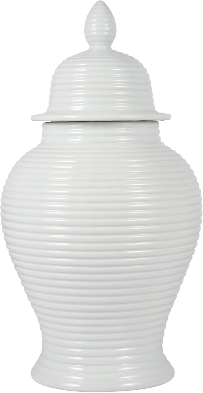 Stoneware Ginger Jar with Lid – Textured Ribbed Finish – Modern Decorative Ceramic Accent for... | Amazon (US)