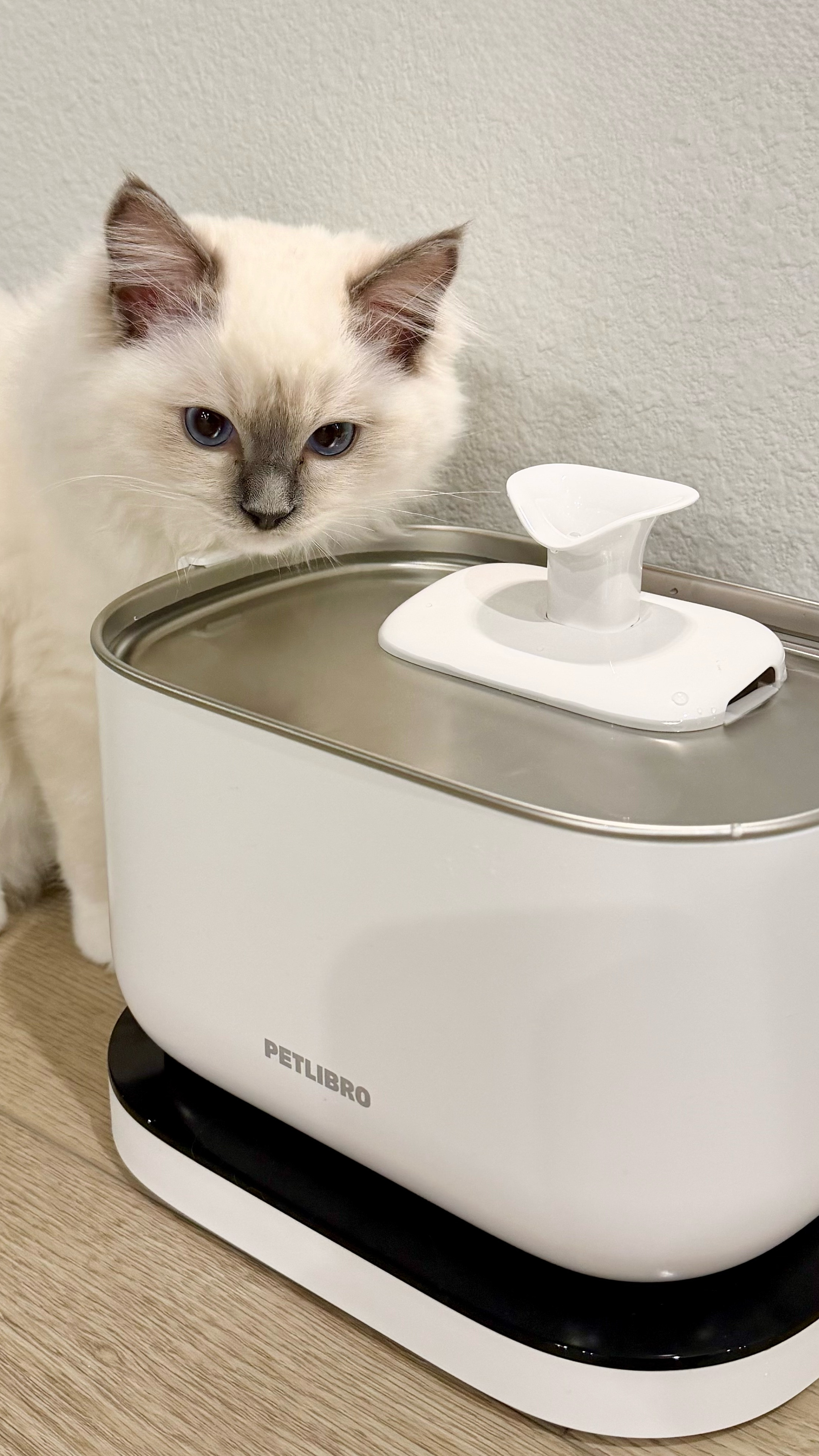 Cat Water Fountainn

#LTKPets #LTKOver40