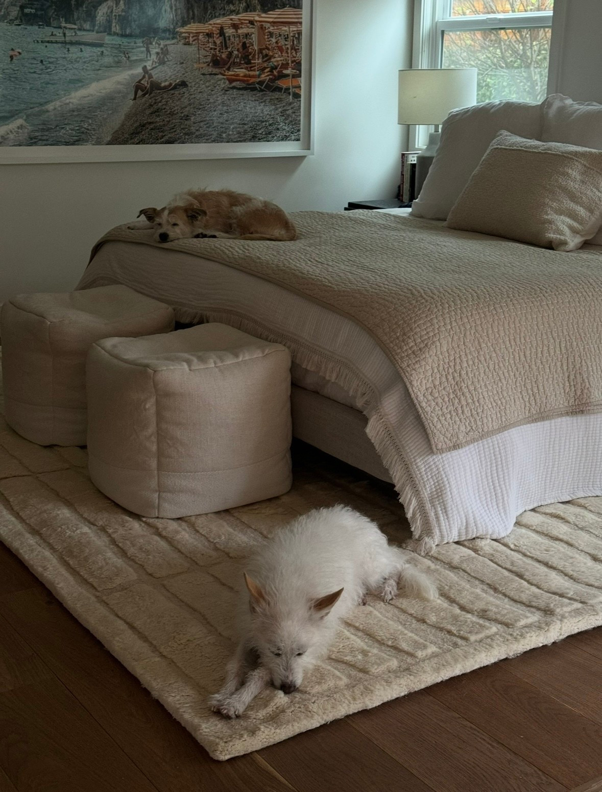 favorite organic bedding

#LTKHome