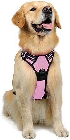 rabbitgoo Dog Harness,No-Pull Pet Harness with 2 Leash Clips, Adjustable Soft Padded Dog Vest, Refle | Amazon (US)