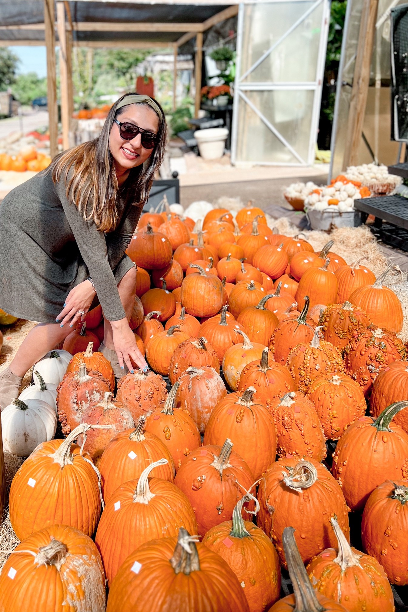 Pumpkin selection  

#LTKsalealert #LTKHalloween #LTKstyletip