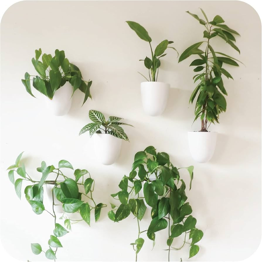 Make Good Virgo Self-Watering Wall Planters (Set of 6) - Easy to Water and Install - Lightweight ... | Amazon (US)