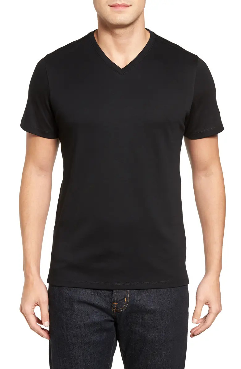 Georgia Regular Fit V-Neck T-Shirt | Nordstrom