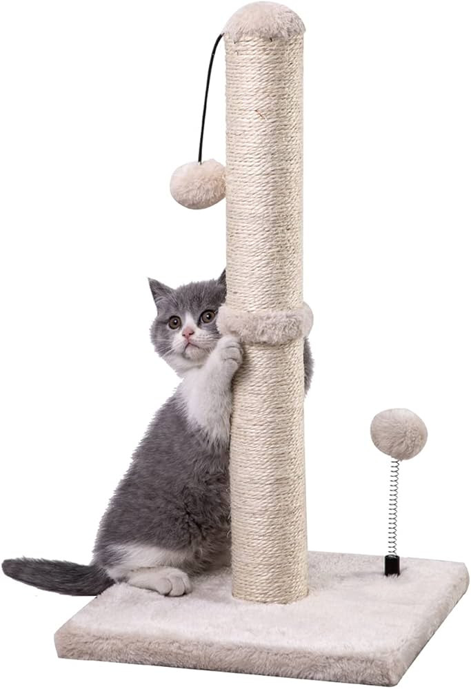 MECOOL Cat Scratching Post Premium Basics Kitten Scratcher Sisal Scratch Posts with Hanging Ball ... | Amazon (US)