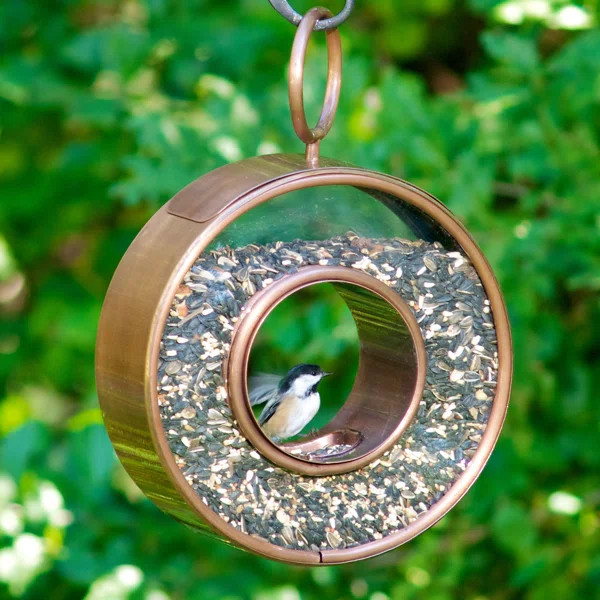 Barlitt Circle Fly-Thru Decorative Bird Feeder | Wayfair North America