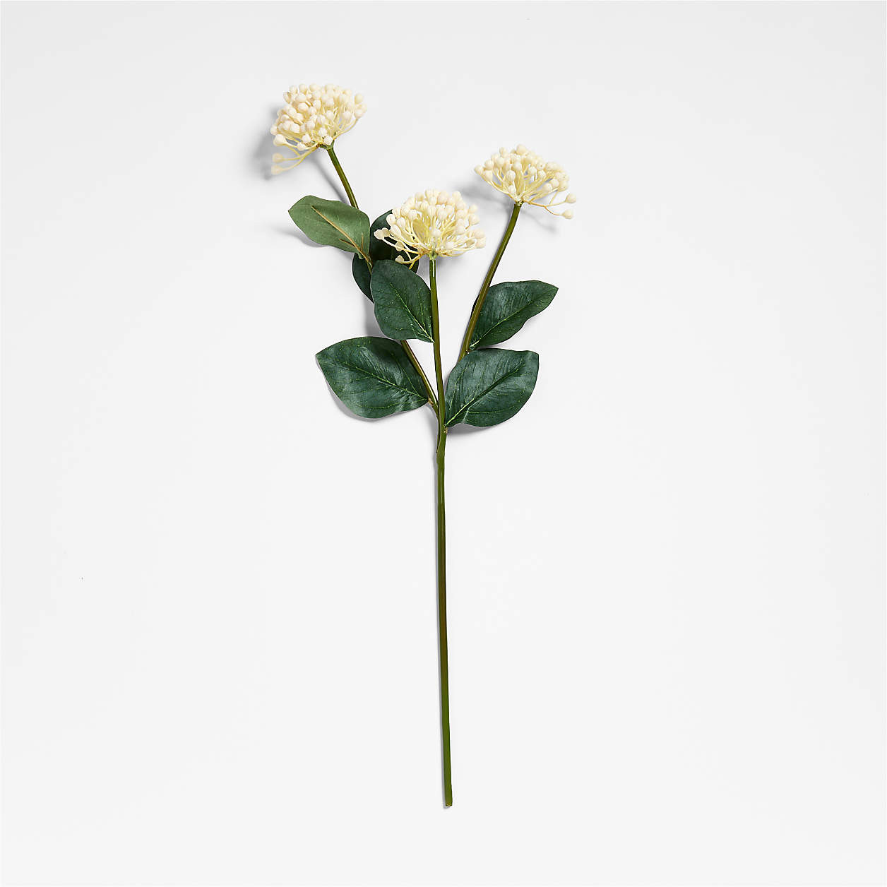Faux Cream Viburnum Flower Stem 24" by Abigail Ahern | Crate & Barrel | Crate & Barrel