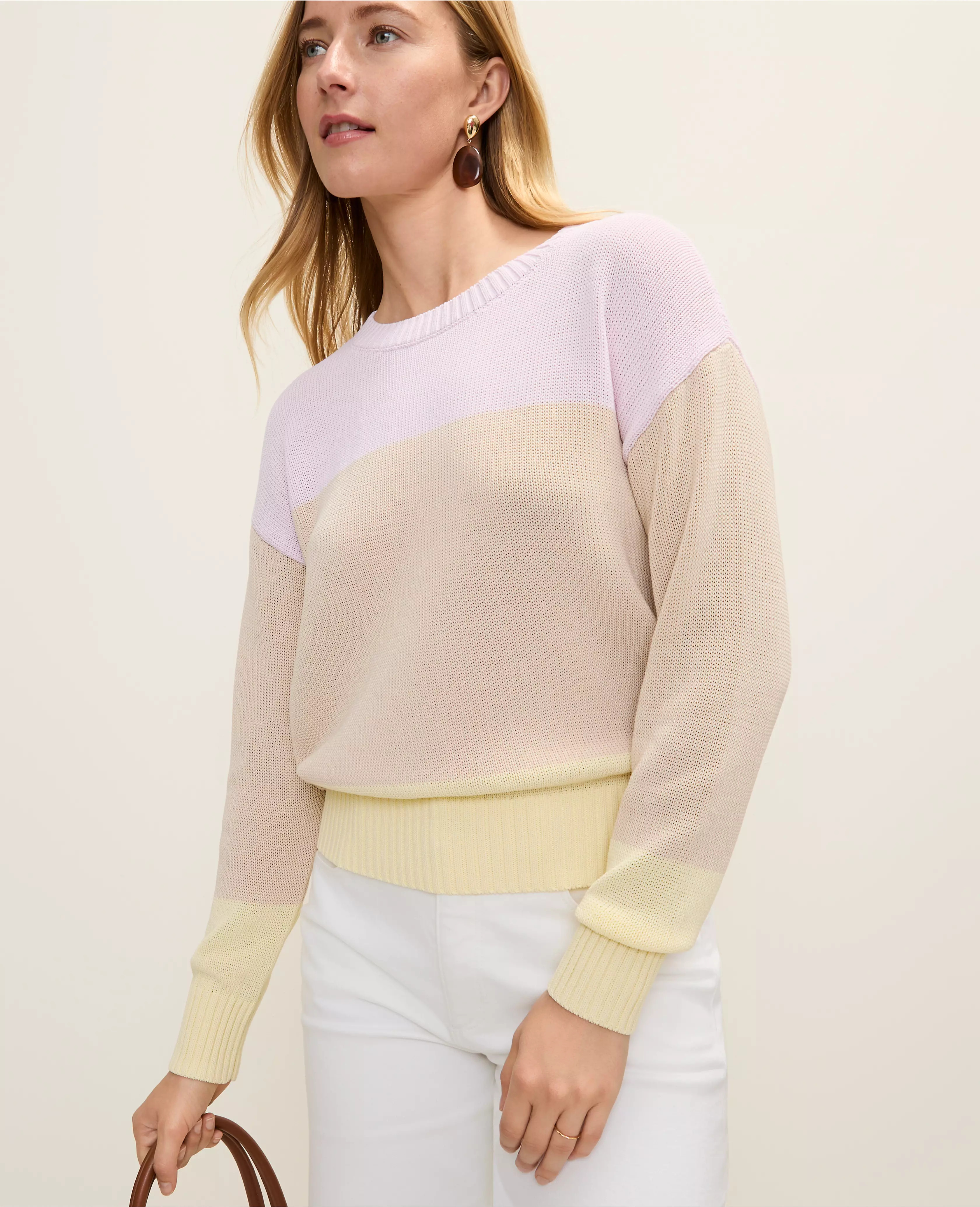 Colorblock Crew Neck Sweater | Ann Taylor