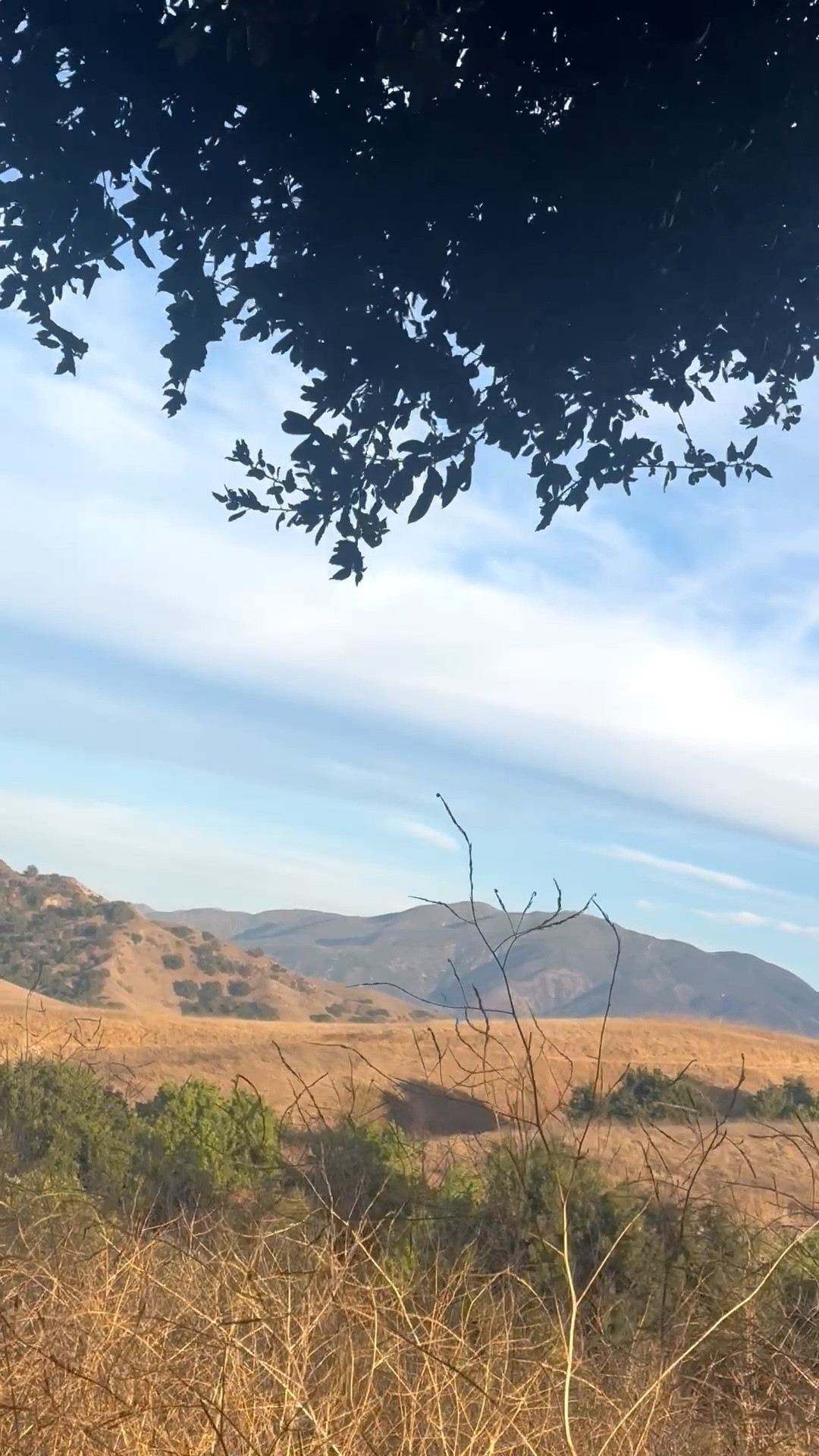 Golden hour on the California prairie. ☀️🌾

Sometimes the best part of the day is simply sitting still, facing the valley, watching the golden hills glow beneath an endless sky. Nature has a way of reminding us to slow down and appreciate the moment.

Happy Fourth of July weekend! ❤️🤍💙

#LTKTravel #LTKOutdoors #CaliforniaPrairie #GoldenHour #CaliforniaCamping #CampingLife #NatureLover #ScenicViews #SlowLiving #OutdoorLiving #ExploreCalifornia #FourthOfJulyWeekend

#LTKdayinmylife #LTKvlog #LTKTravel